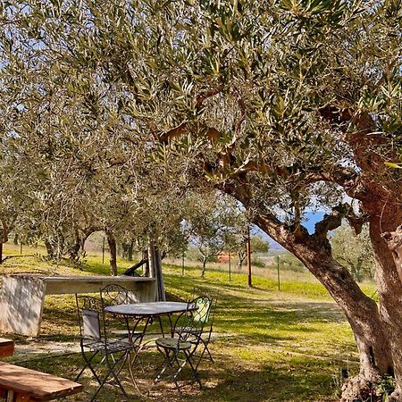 Vila Oasi Macerina Alanno Exteriér fotografie