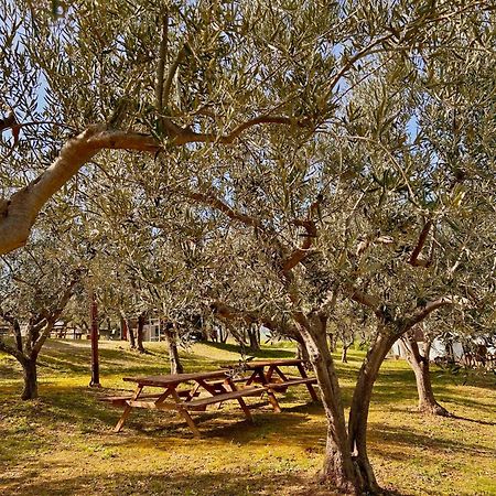 Vila Oasi Macerina Alanno Exteriér fotografie
