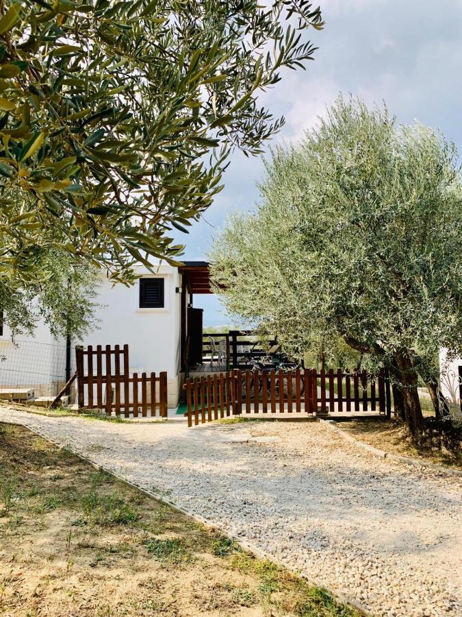 Vila Oasi Macerina Alanno Exteriér fotografie