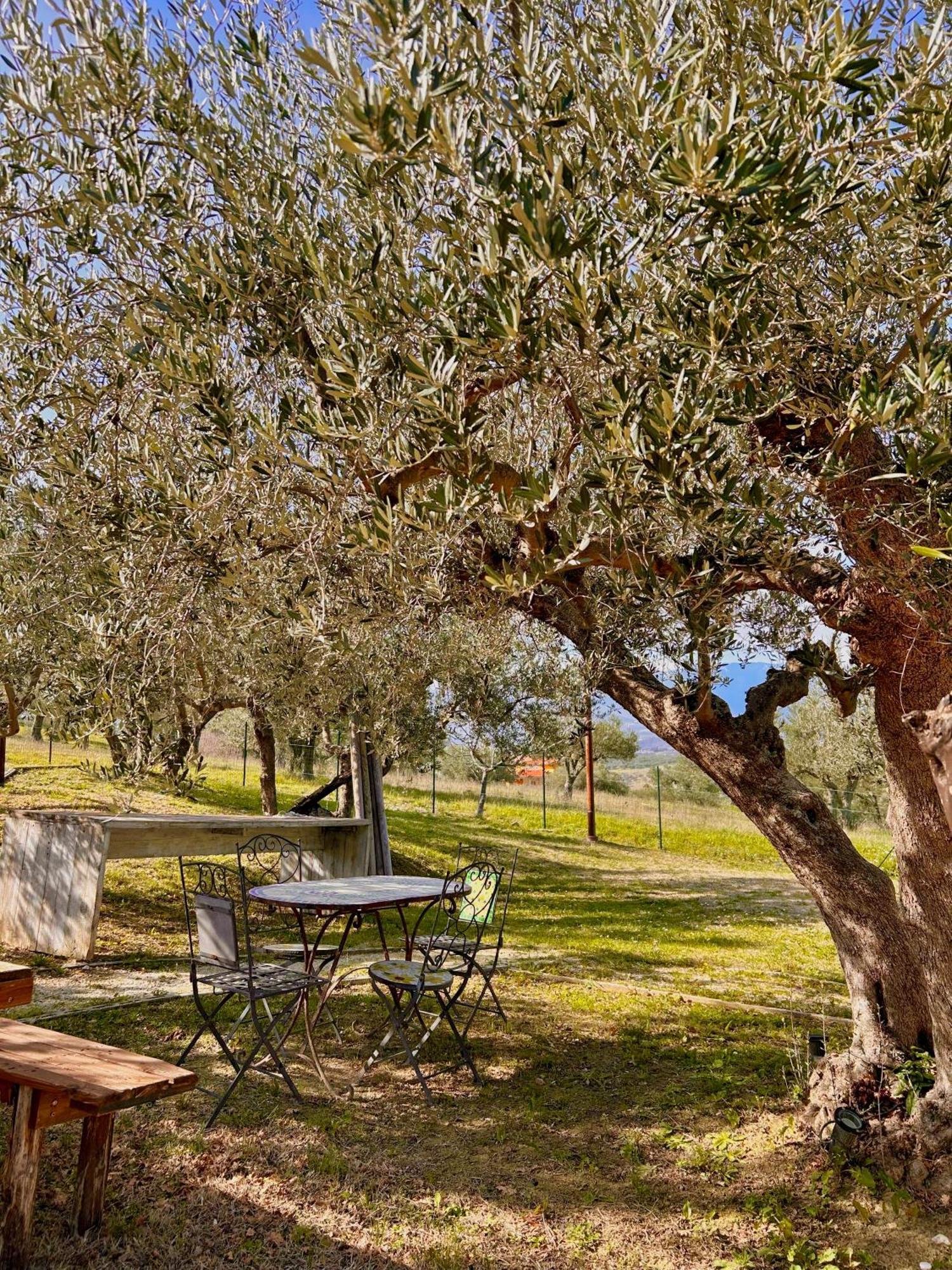 Vila Oasi Macerina Alanno Exteriér fotografie