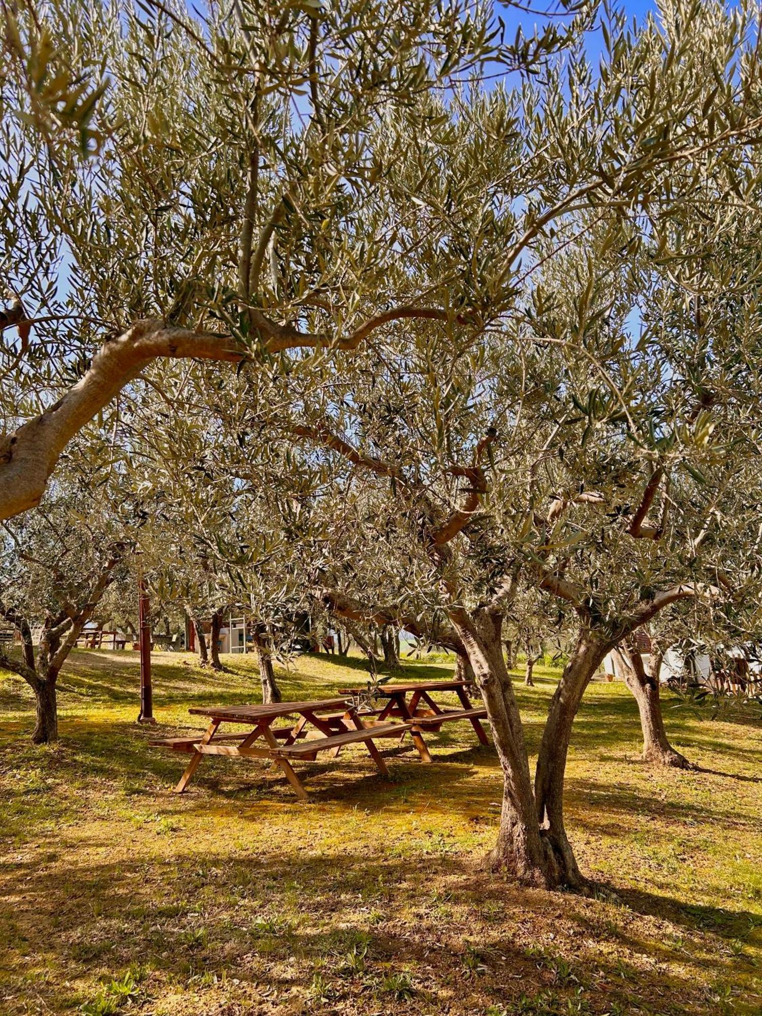 Vila Oasi Macerina Alanno Exteriér fotografie