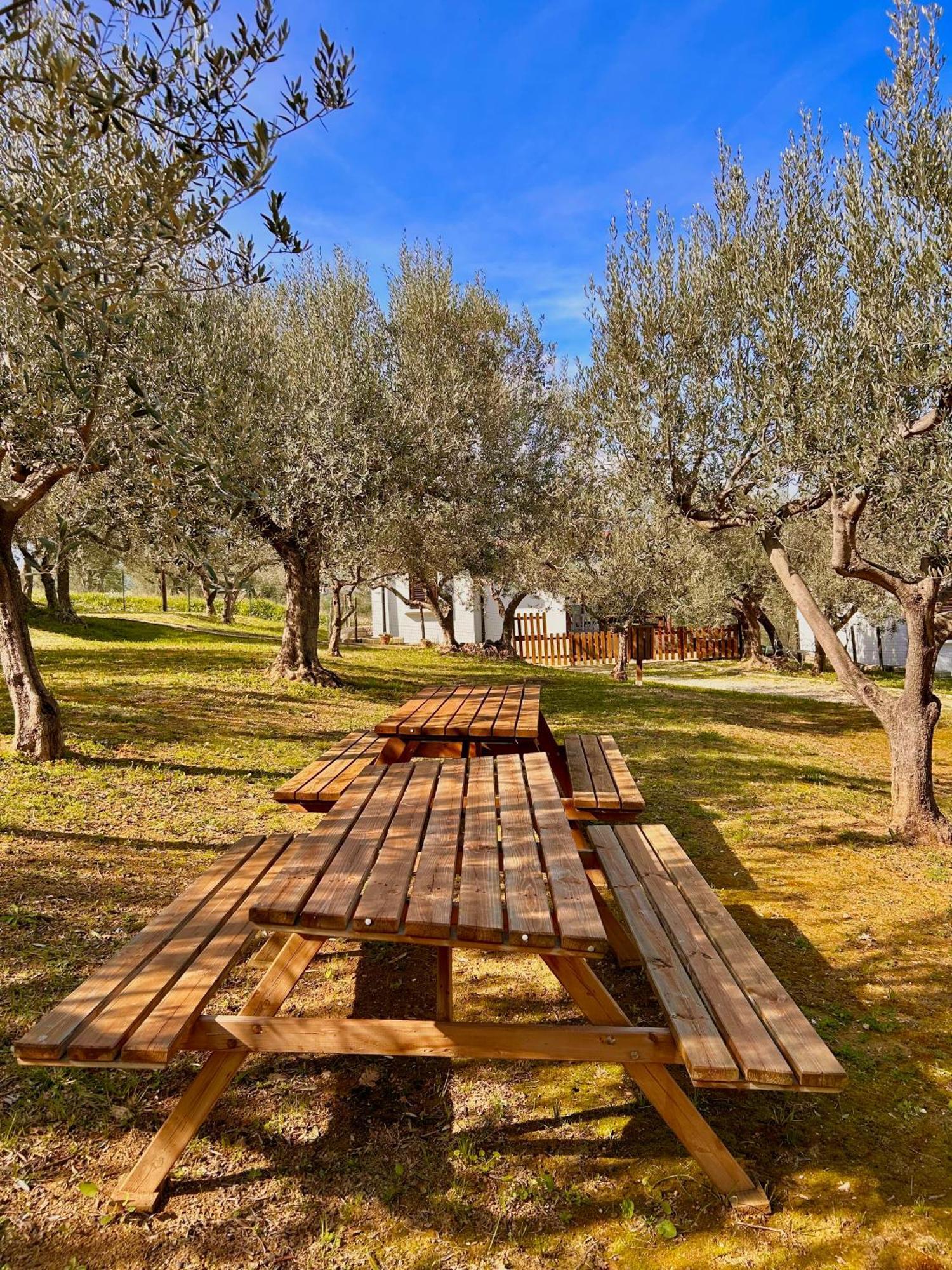 Vila Oasi Macerina Alanno Exteriér fotografie