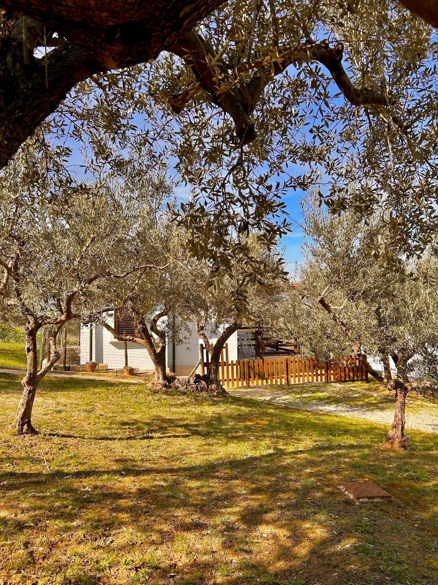 Vila Oasi Macerina Alanno Exteriér fotografie