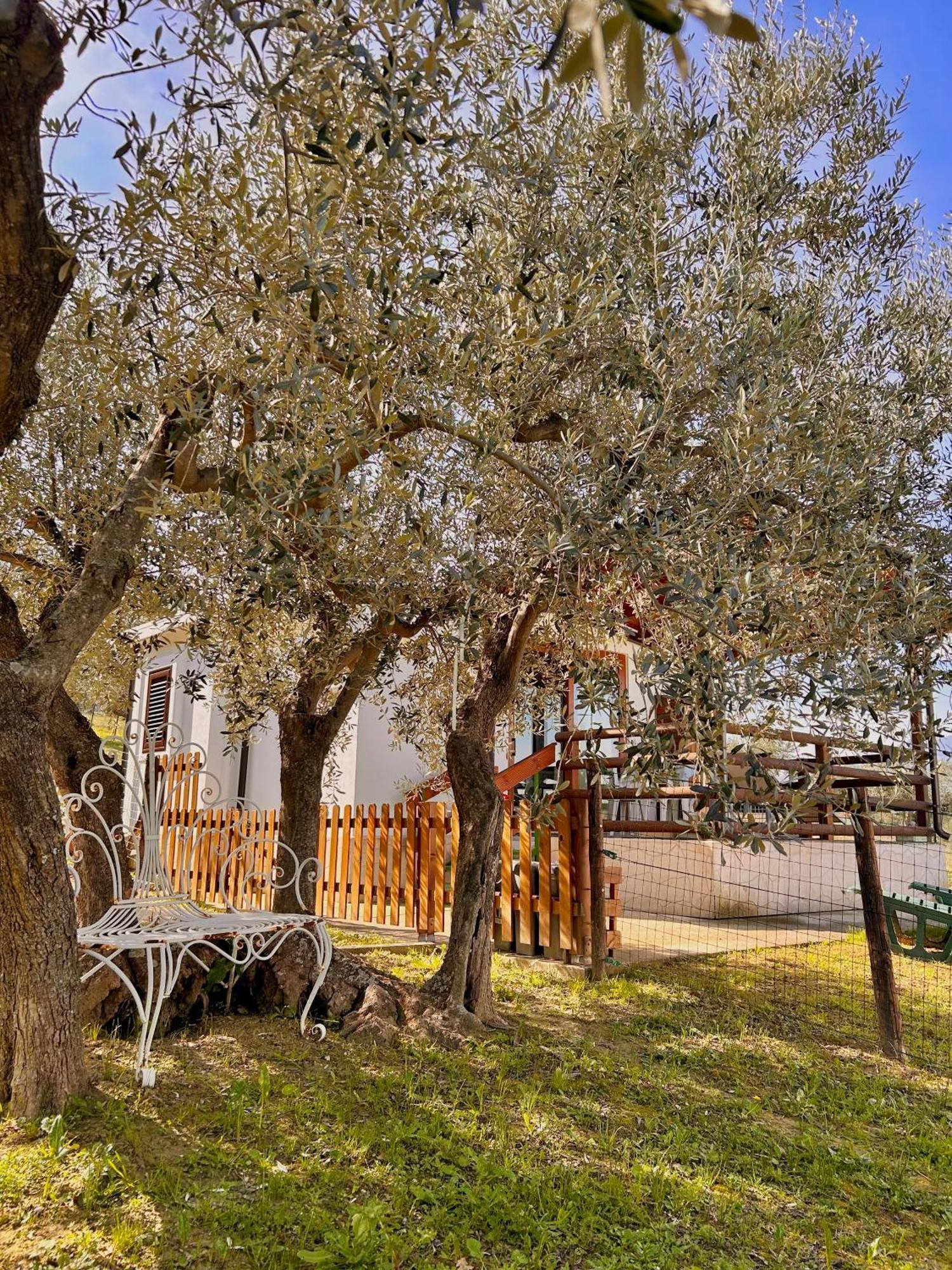 Vila Oasi Macerina Alanno Exteriér fotografie