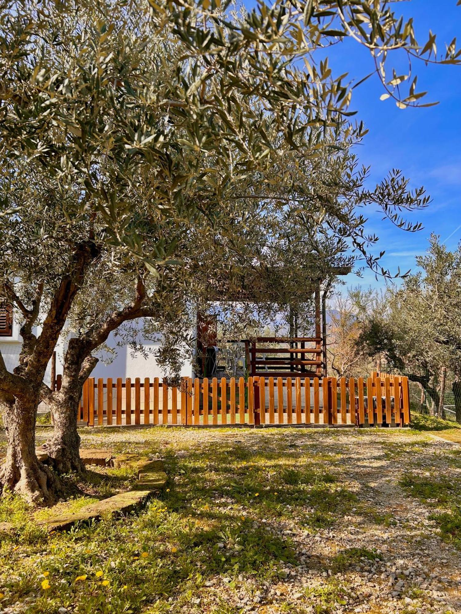 Vila Oasi Macerina Alanno Exteriér fotografie