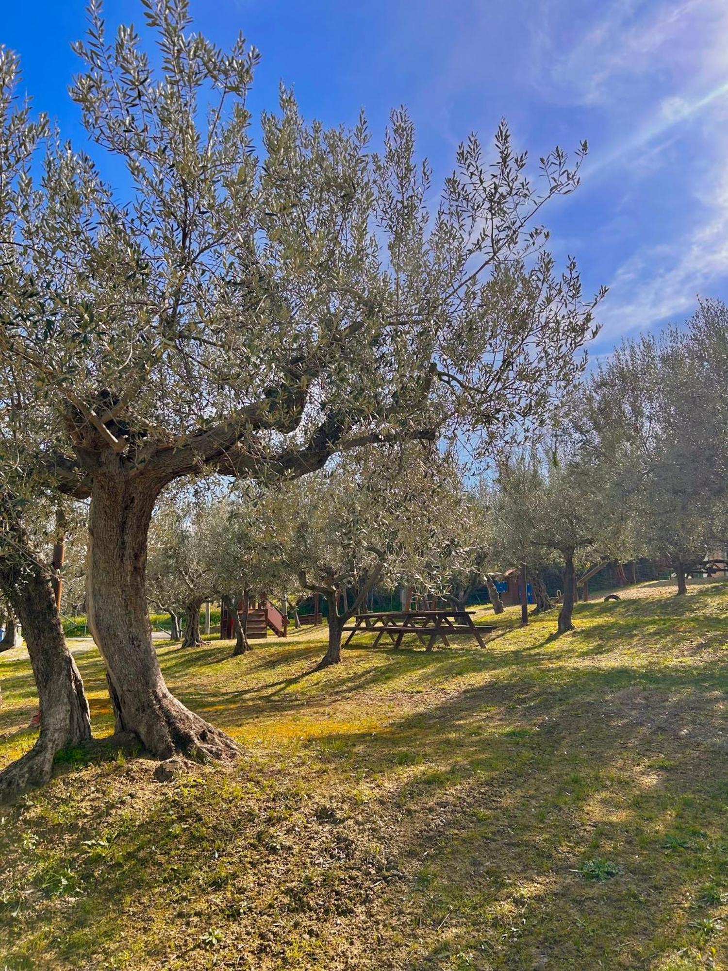 Vila Oasi Macerina Alanno Exteriér fotografie