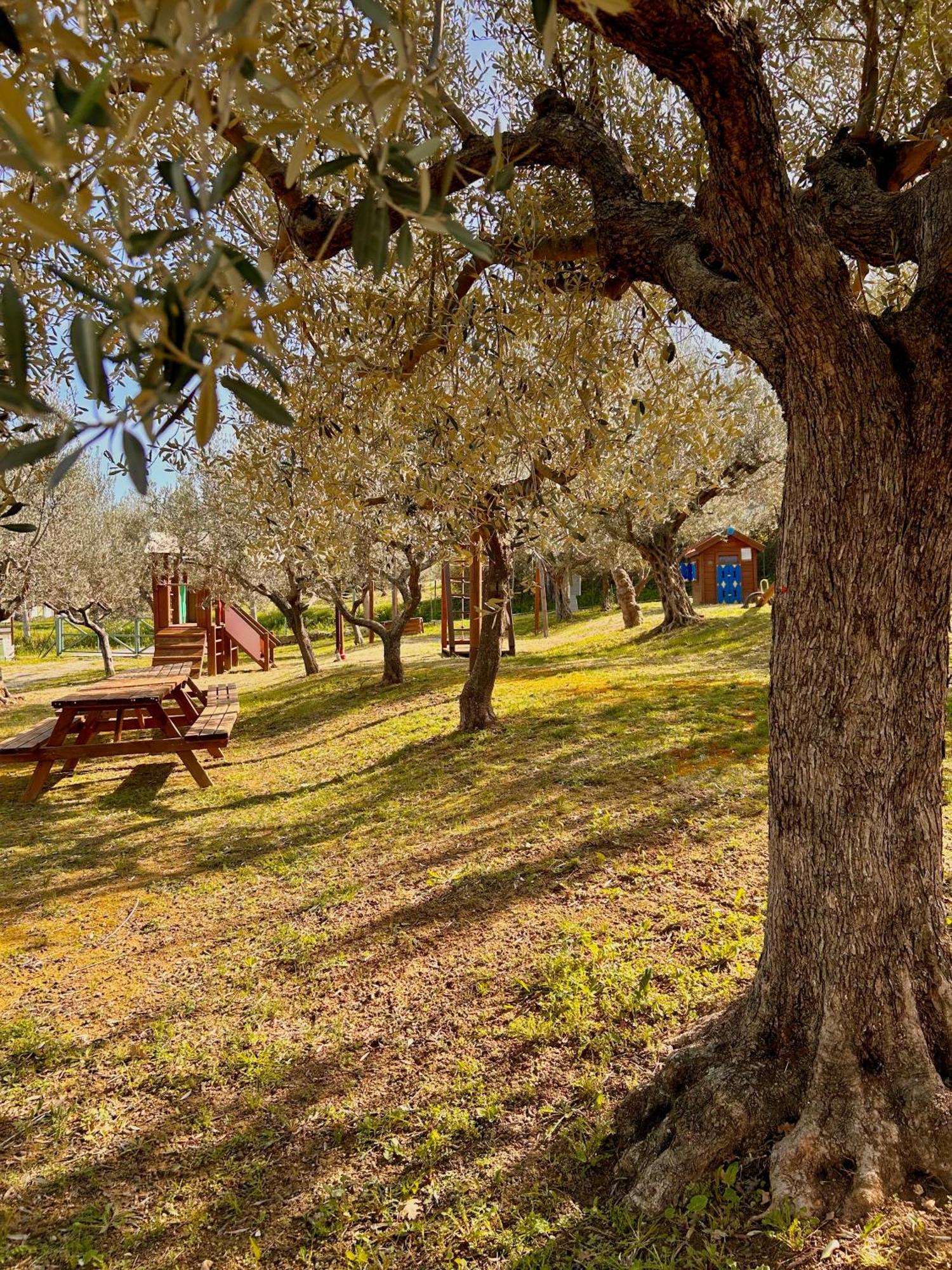 Vila Oasi Macerina Alanno Exteriér fotografie