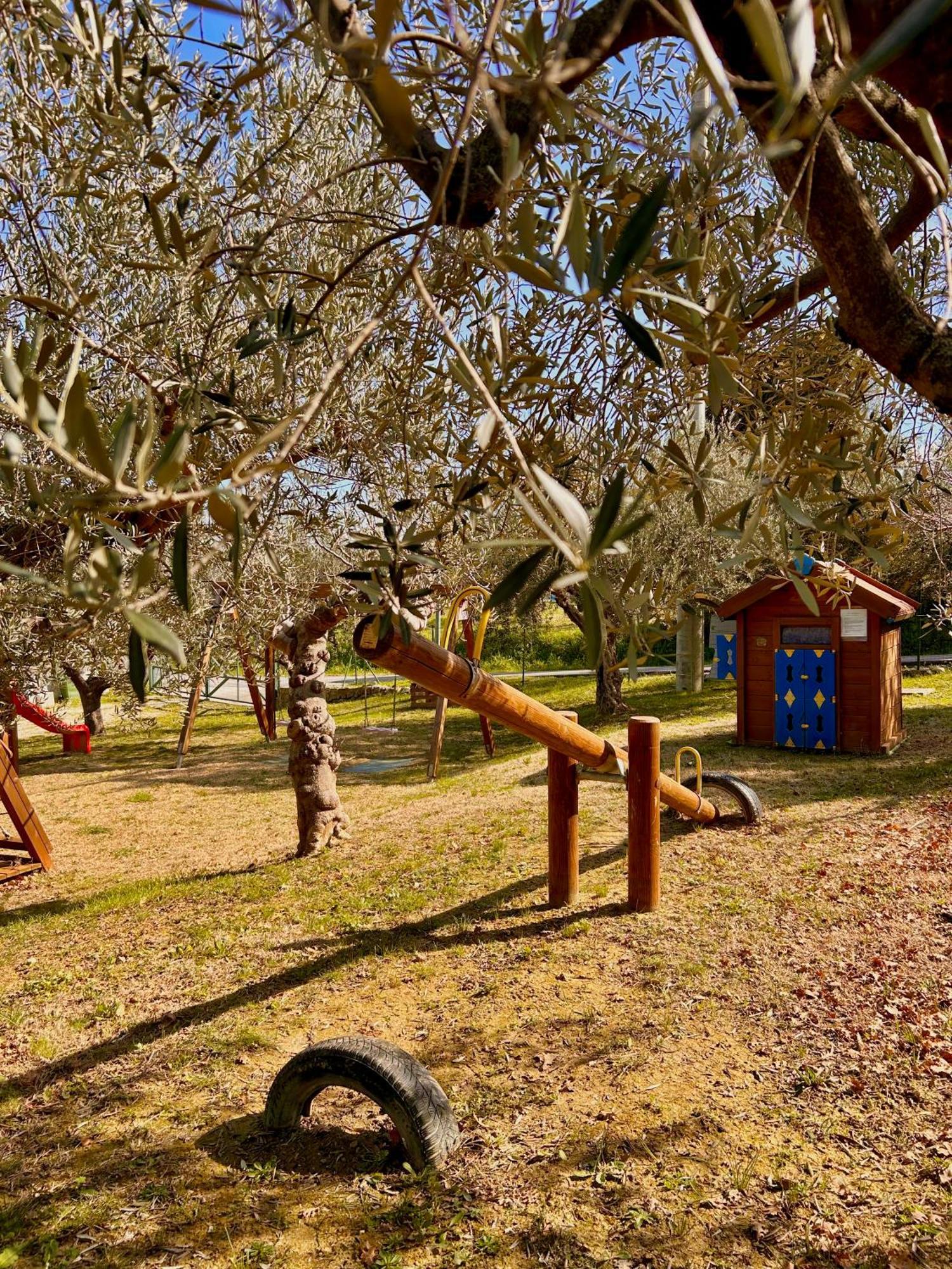 Vila Oasi Macerina Alanno Exteriér fotografie