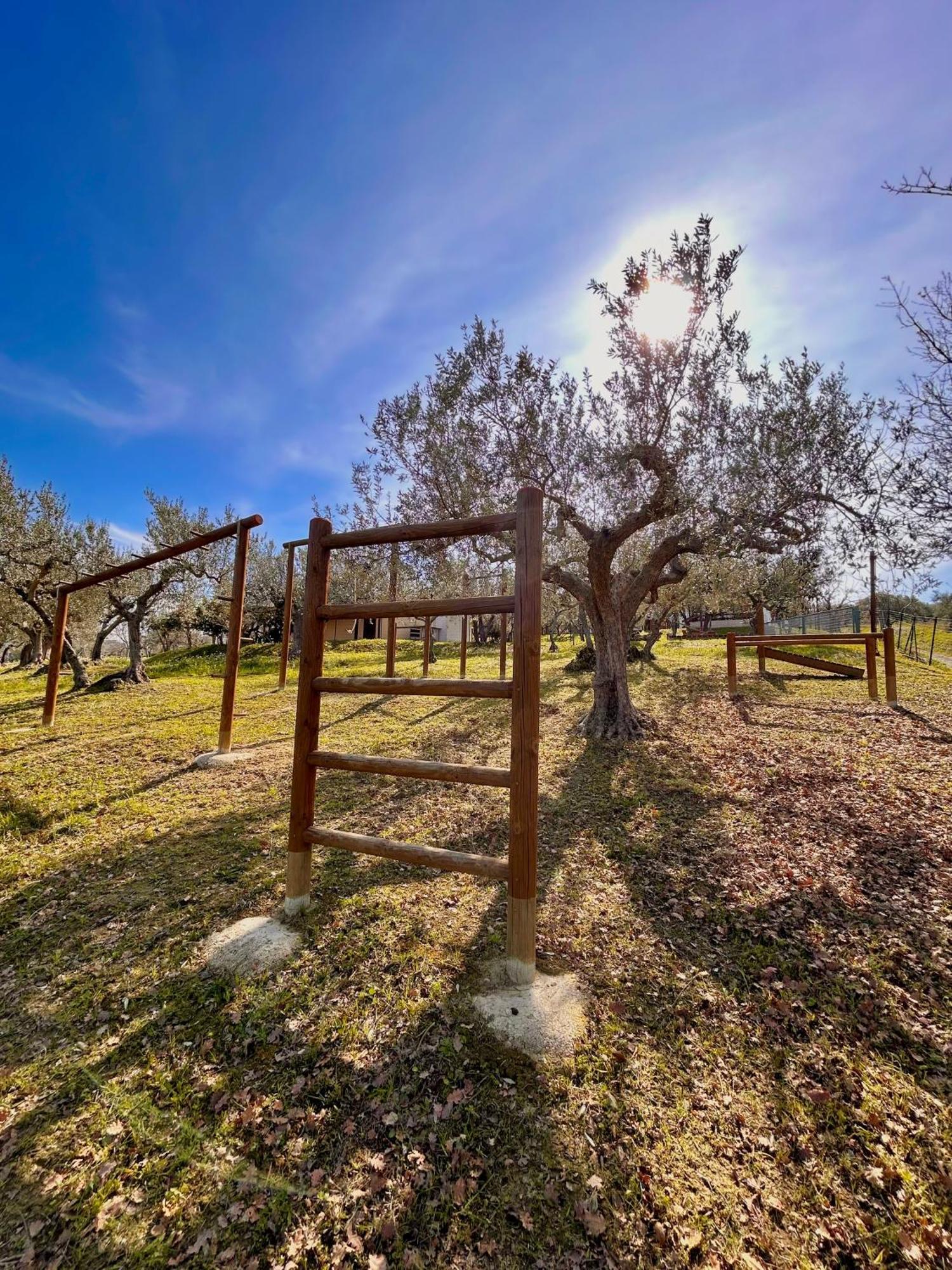 Vila Oasi Macerina Alanno Exteriér fotografie