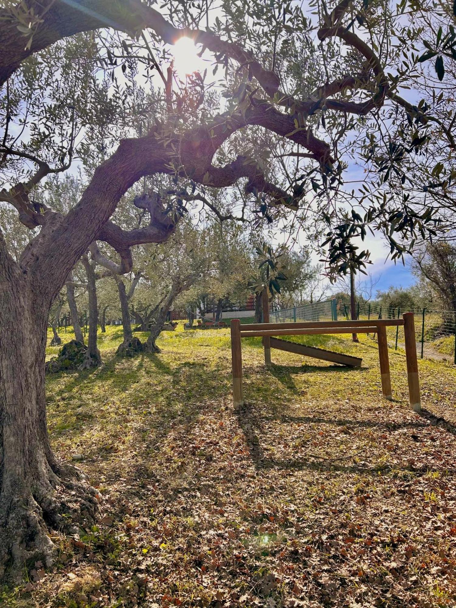 Vila Oasi Macerina Alanno Exteriér fotografie
