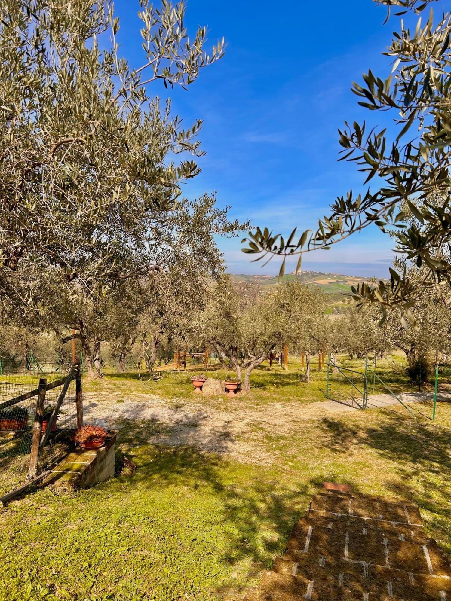 Vila Oasi Macerina Alanno Exteriér fotografie