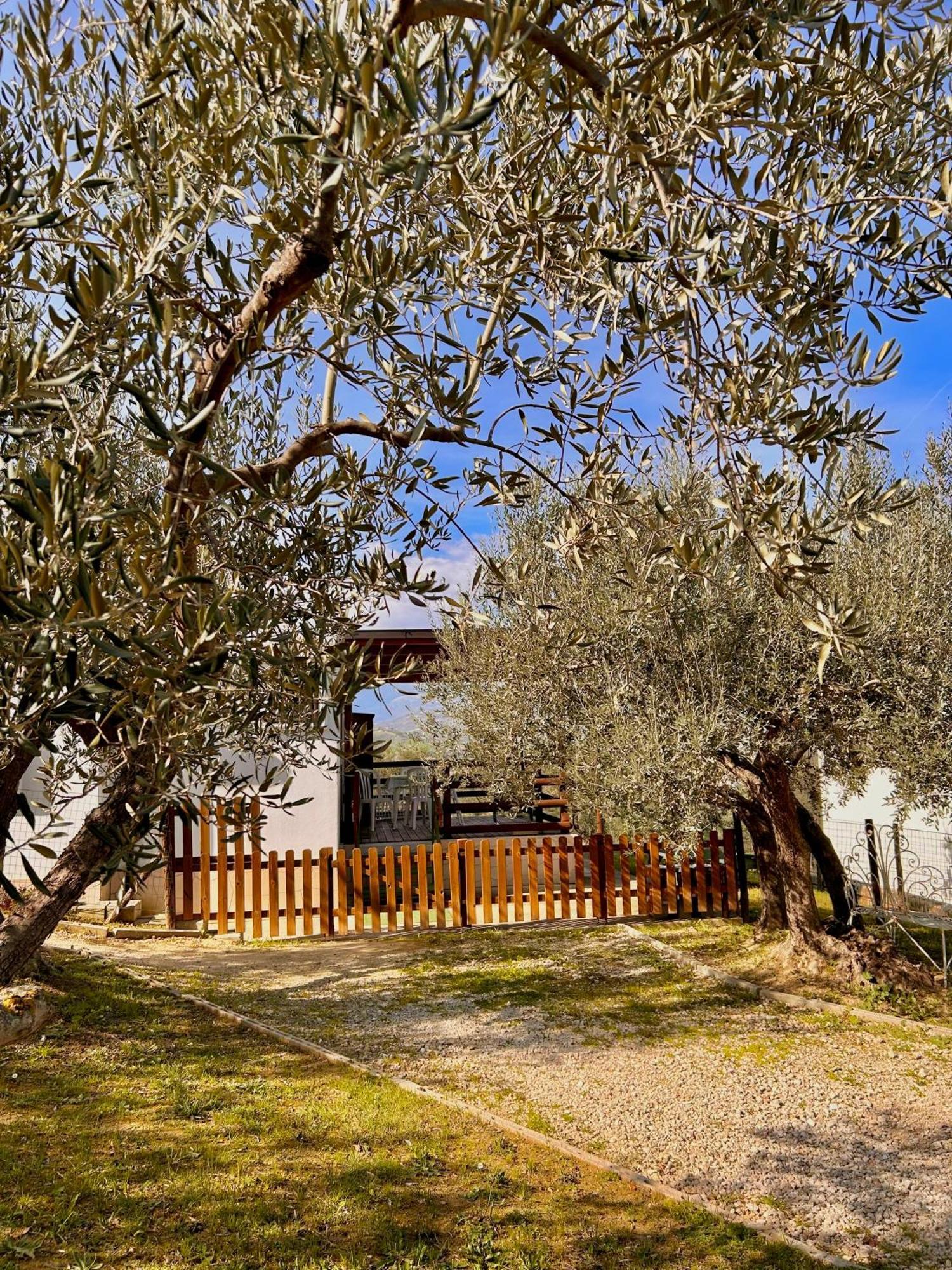 Vila Oasi Macerina Alanno Exteriér fotografie