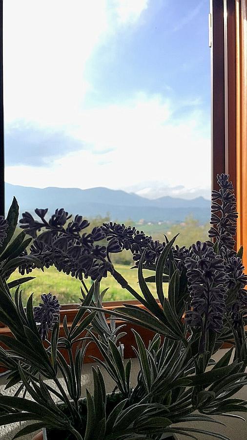 Vila Oasi Macerina Alanno Exteriér fotografie